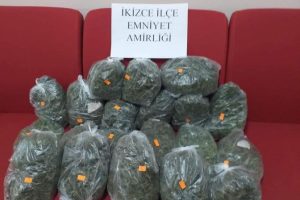 Arı kovanında esrar ele ge&ccedil;irildi