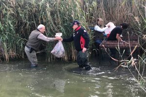 Bursa'da avlanması yasak olan 27 yeşilbaşlı &ouml;rdek kafeste bulundu