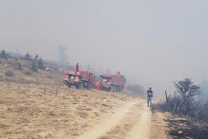 Mersin'de orman yangını