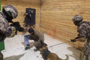 Operasyon k&ouml;pekleri, en zor g&ouml;revler i&ccedil;in eğitiliyor