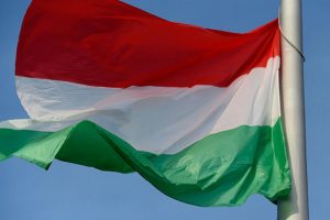 Macaristan'dan flaş T&uuml;rkiye a&ccedil;ıklaması