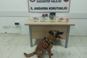 Gaziantep'te 3 bin 475 uyuşturucu hap ele ge&ccedil;irildi