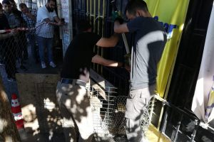 Sanayi b&ouml;lgesinde su maymunu bulundu