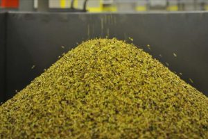 Antep fıstığında katma değerli üretim için 6,5 milyon dolarlık yatırım 