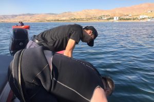 Feribottan atlayan kişiyi dalgı&ccedil; polisler aramaya başladı