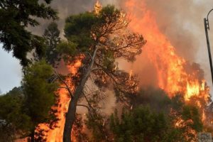 L&uuml;bnan orman yangınlarını s&ouml;nd&uuml;rmek i&ccedil;in yardım talep etti