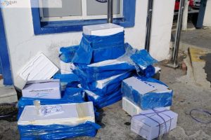 Yasa dışı deniz &uuml;r&uuml;nleri operasyonu yapıldı