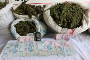 Volta ve Vicdan 35 kilo ersar buldu