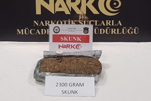 Eskişehir'de 2 kilo 300 gram skunk ele ge&ccedil;irildi