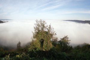Bolu Dağı'nda sis g&uuml;zel g&ouml;r&uuml;nt&uuml;ler oluşturdu