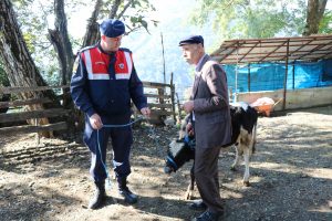 &Ccedil;alınan b&uuml;y&uuml;kbaş hayvanlarına kavuşmanın sevincini yaşadı