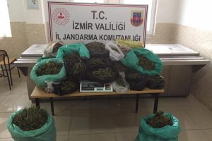 Jandarmadan uyuşturucu baskını