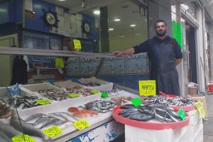 Karadeniz'de hamsi bolluğu