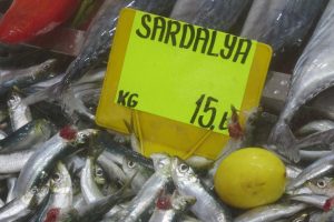 Sardalyanın kilosu 15 liraya d&uuml;şt&uuml;