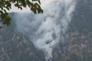 Kahramanmaraş'ta orman yangını