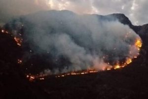 Orman yangını 36 saatte kontrol altına alındı