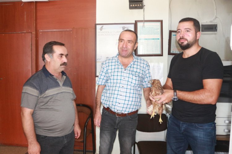 Yaralı Şahin'i tedavisi i&ccedil;in yetkililere teslim etti