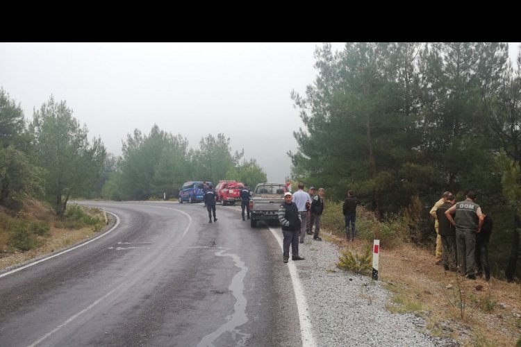 Ormana u&ccedil;an otomobil alev aldı
