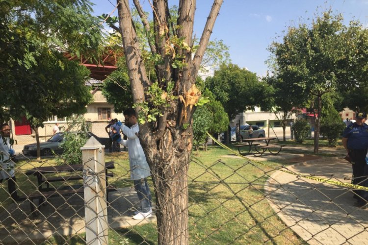 Torpil bomba gibi patladı
