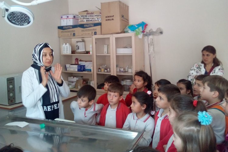 Kermeste topladıkları gelirle sokak hayvanlarına mama aldılar