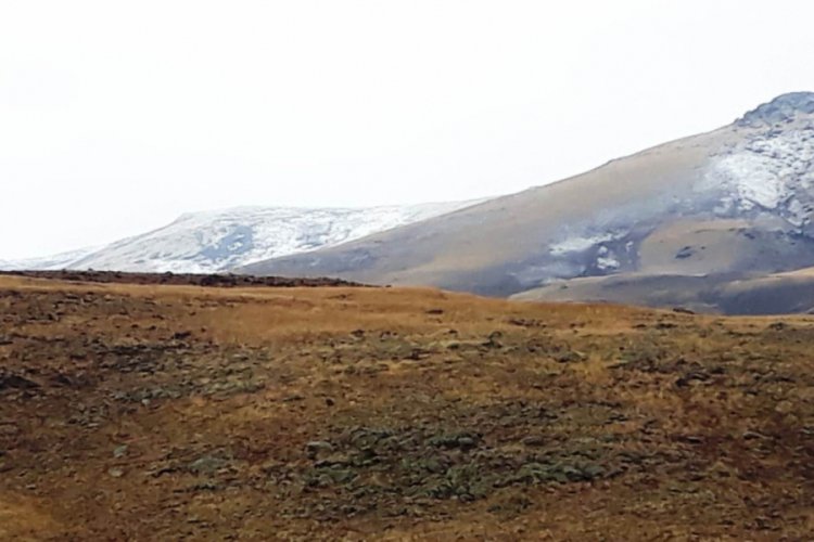 Erciş'in y&uuml;ksek kesimlerine kar yağdı