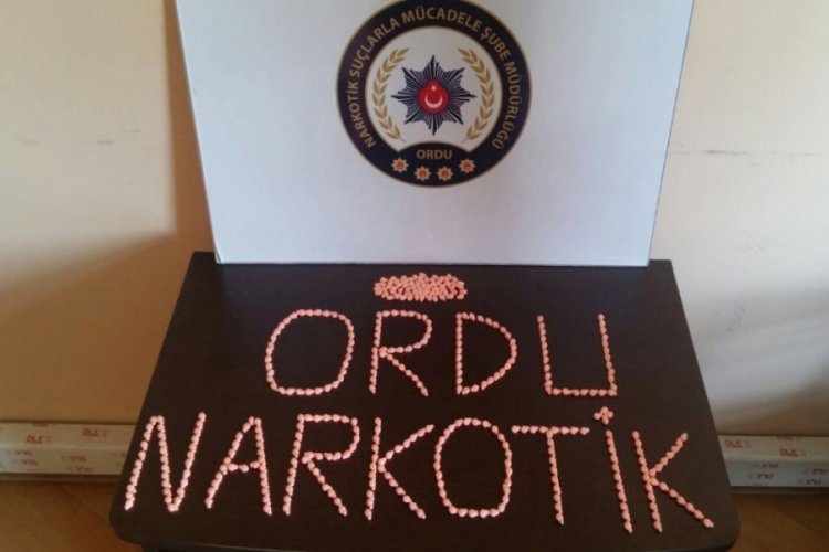 Ordu'da uyuşturucu operasyonu