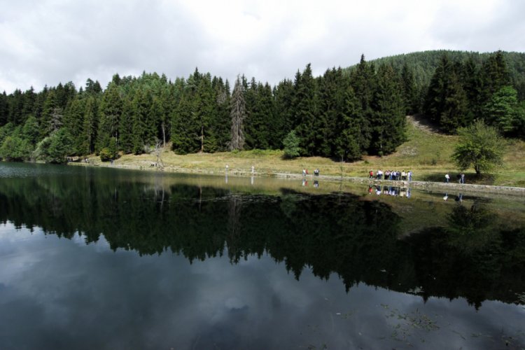 Artvin'in Karag&ouml;lleri ziyaret&ccedil;i akınına uğruyor