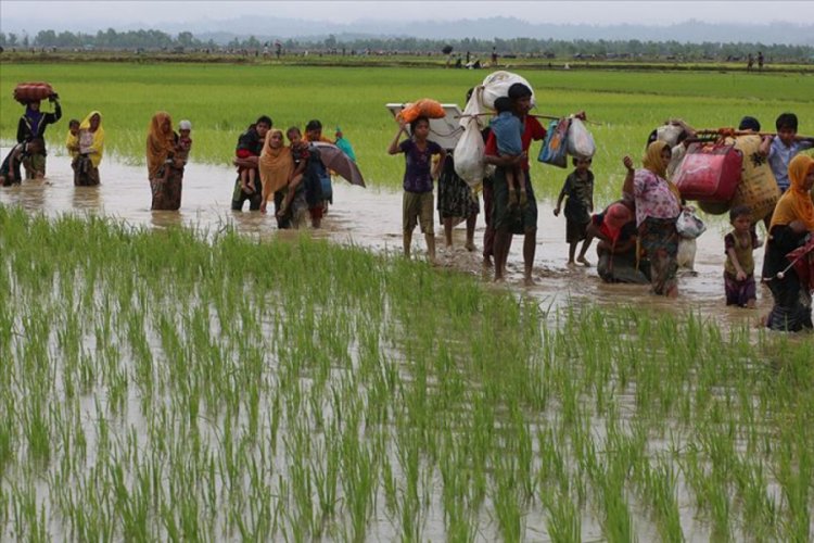 Bangladeş 100 bin Arakanlı M&uuml;sl&uuml;man'ı adaya yerleştirecek