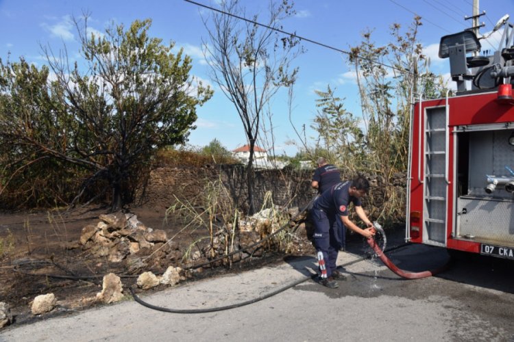 Antalya'da otluk ve &ccedil;alılık yangını