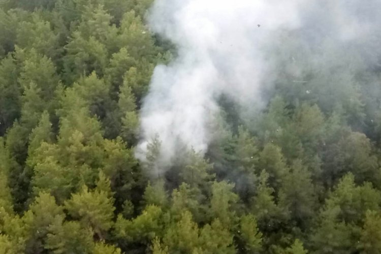 Manavgat'ta yıldırım d&uuml;şen ormanda yangın