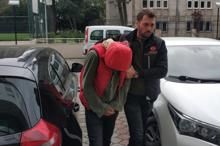 Samsun'da bonzai &uuml;retimiyle ilgili 1 kişi tutuklandı