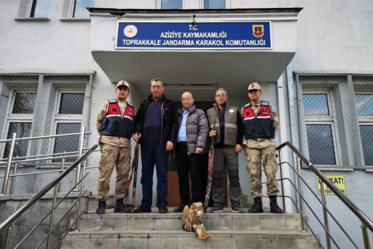 Koruma altındaki şahini avlayan avcılara ceza yağdı