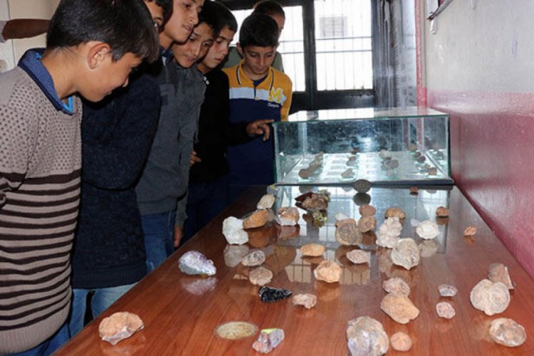 Bulduğu taşlar fosil &ccedil;ıkan &ouml;ğretmen, m&uuml;ze kurdu
