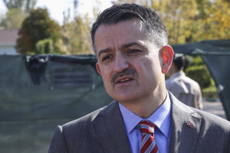 Orman &uuml;r&uuml;nlerinden 1 milyar dolarlık katkı bekleniyor