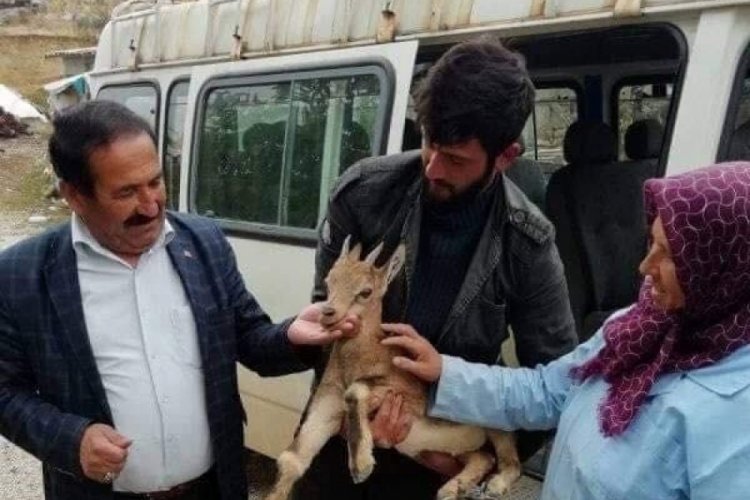 &Ccedil;obandan &ouml;rnek davranış