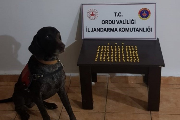 Ordu'da uyuşturucuya ge&ccedil;it verilmedi