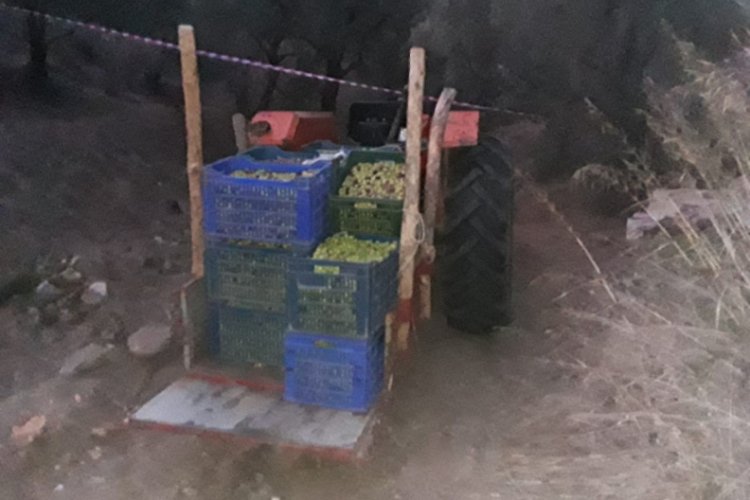 &Ouml;l&uuml;m yaşlı adamı trakt&ouml;r &uuml;zerinde yakaladı