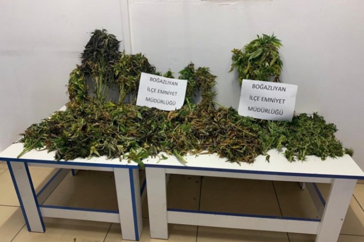 Boğazlıyan'da uyuşturucu operasyonu