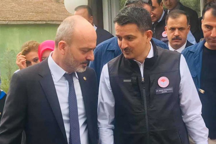 Bursa'da zeytinciye mazot ve g&uuml;bre desteği