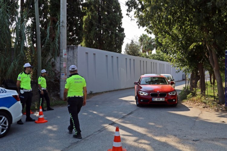Hamile kaplumbağa alevlerden kurtuldu ama ezilmekten kurtulamadı
