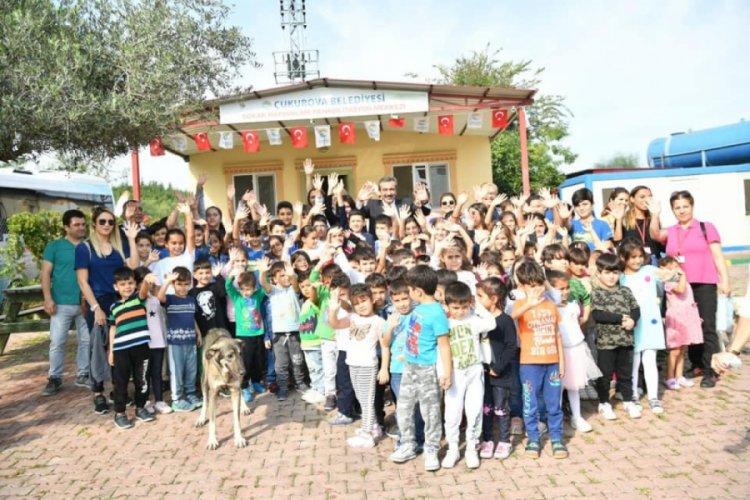 "Her okula bir k&ouml;pek" kampanyası