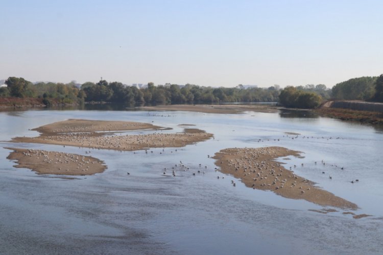 Meri&ccedil; Nehri'nin su seviyesi d&uuml;şt&uuml;