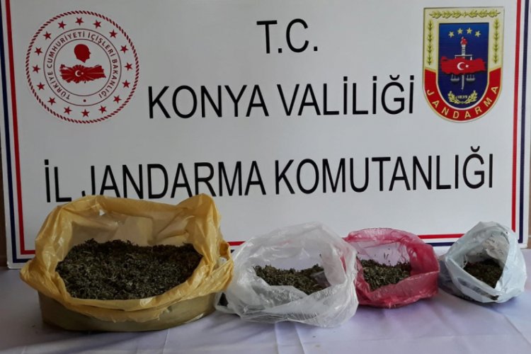 Jandarmadan uyuşturucu operasyonu