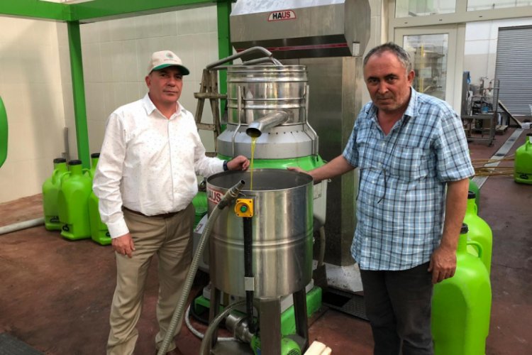 Pamuğa 800 liralık destek