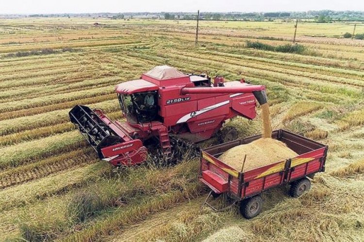 Organik g&uuml;bre ve sofralık zeytine yeni destek