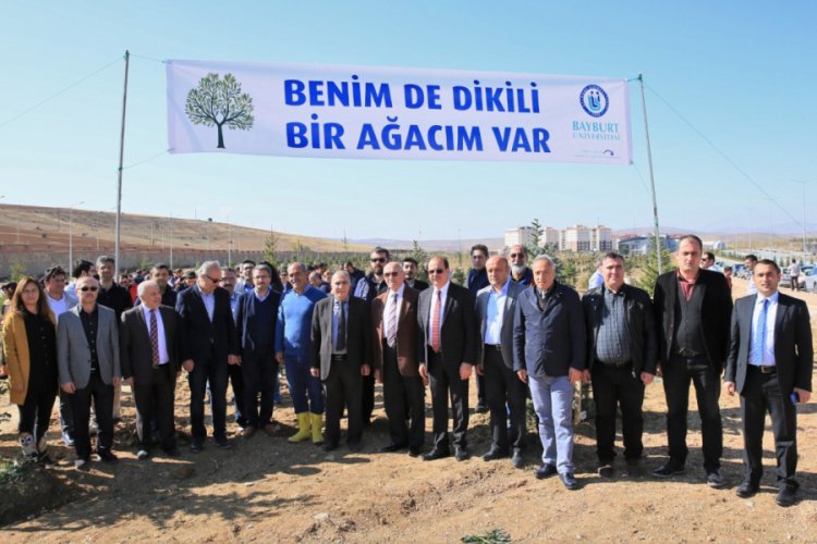 &Uuml;niversite kamp&uuml;s&uuml;ne 480 ağa&ccedil; dikildi
