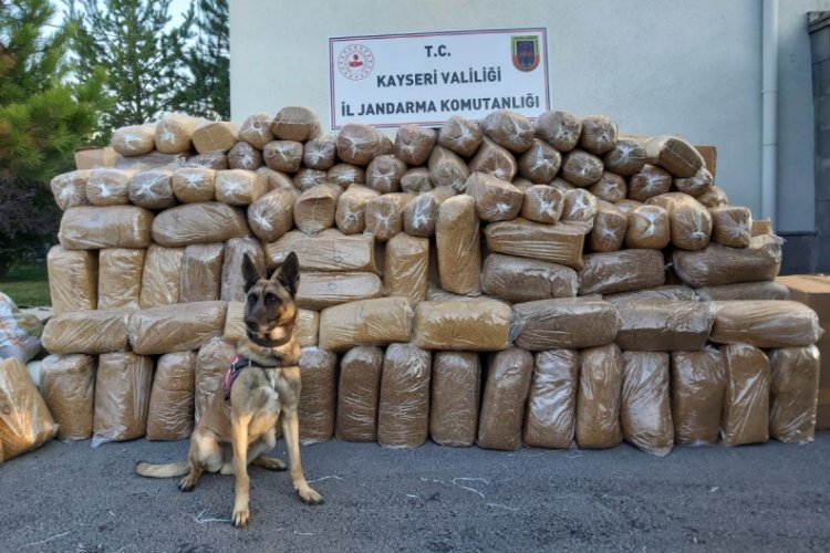 Kargo aracında 6 ton t&uuml;t&uuml;n ele ge&ccedil;irildi