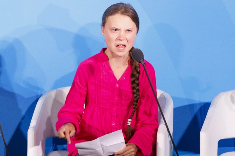 Bir b&ouml;cek t&uuml;r&uuml;ne Thunberg'in ismi verildi