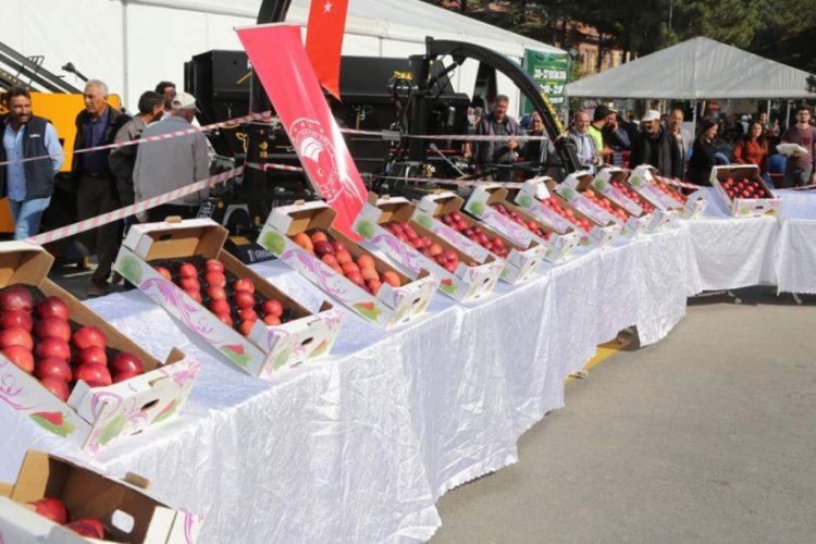 Niğde'de 'En G&uuml;zel Elma' yarışması d&uuml;zenlendi