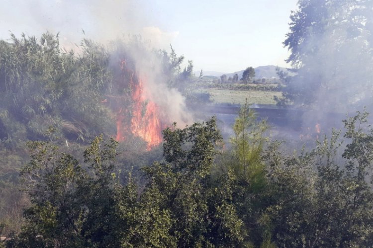 Antalya'da &ccedil;ıkan yangın kontrol altına alındı